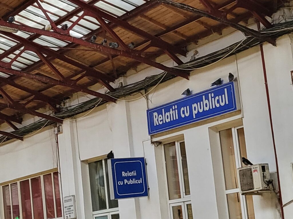 Gara de Nord, porumbeii, pensionarele fast food și toaletele publice ale afganului Said