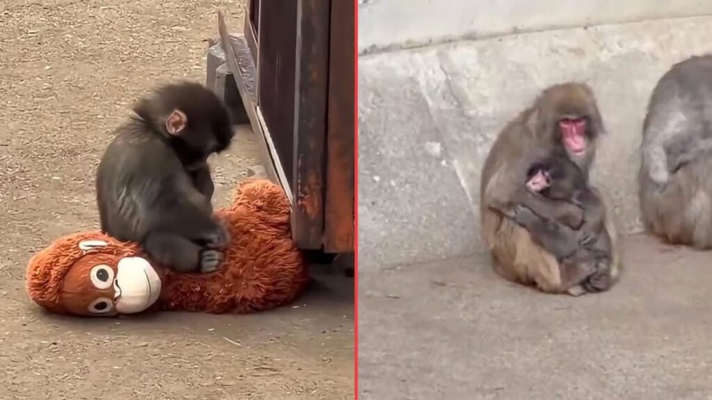 Sursa foto: Facebook