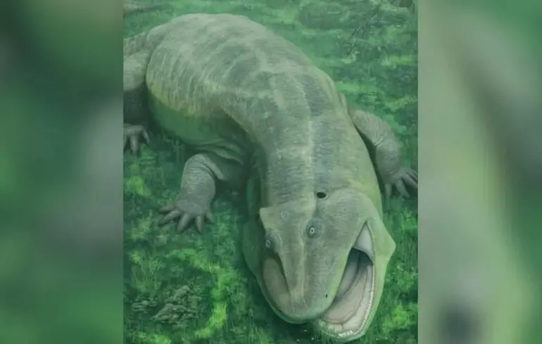 Oamenii de știință au descoperit rămășițele unei creaturi care a fost o „fosilă vie” acum 275 de milioane de ani