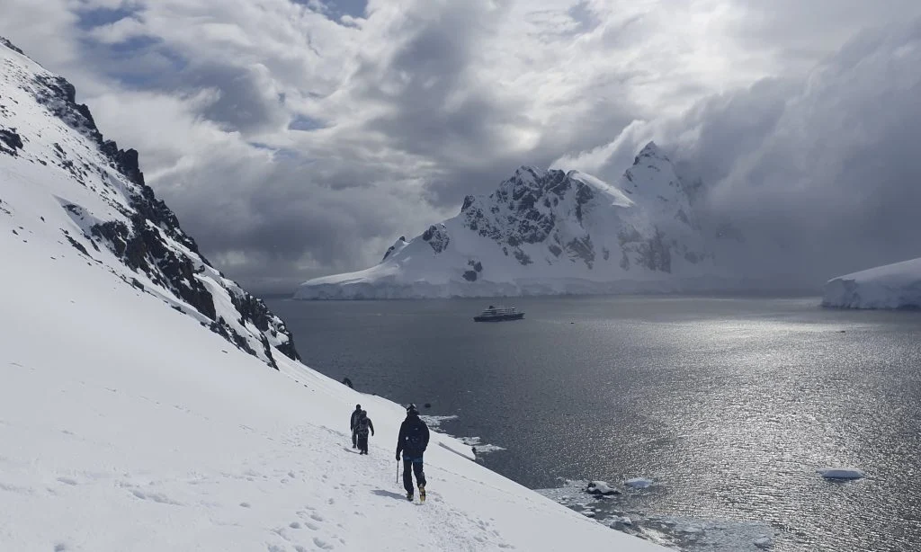 Descoperire revoluționară în biologia marină. Apele Antarcticii ascund milioane de gene noi