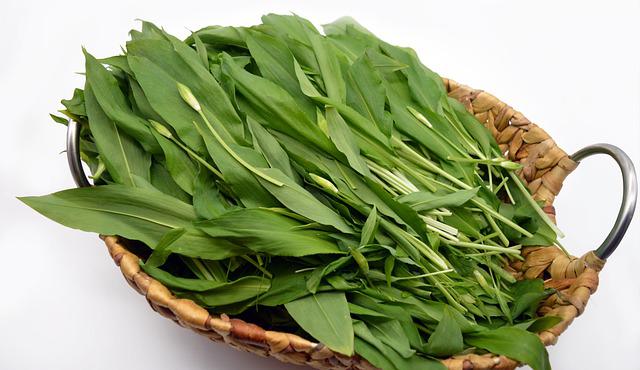 Leurda, una dintre cele mai îndrăgite verdețuri de primăvară, poate fi culeasă din pădure. Ce beneficii are pentru sănătate. Trei rețete simple cu leurdă