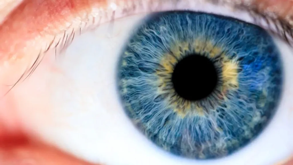 Nu doar morcovii ajută la vedere. Alte patru alimente care îți pot proteja sănătatea ochilor