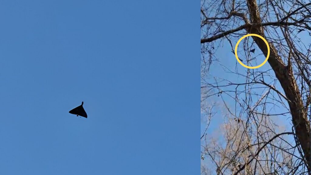 RO-ALERT în Tulcea, lângă granița cu Ucraina. O dronă a fost detectată