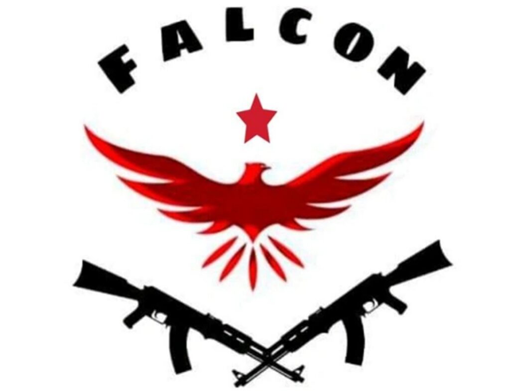 Falcon Defence intră pe piața din România. Compania vine cu o investiție de 50 de milioane de euro