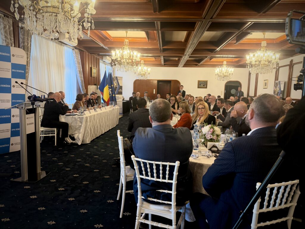 „Industria de apărare nu trebuie să mai fie Cenușăreasa economiei”  Nicoleta Pauliuc anunță discuții cu BNR și băncile