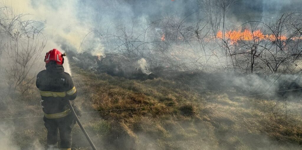 Incendiu de vegetație în Maramureș. Flăcările au cuprins vegetația uscată și pompierii au o sarcină dificilă