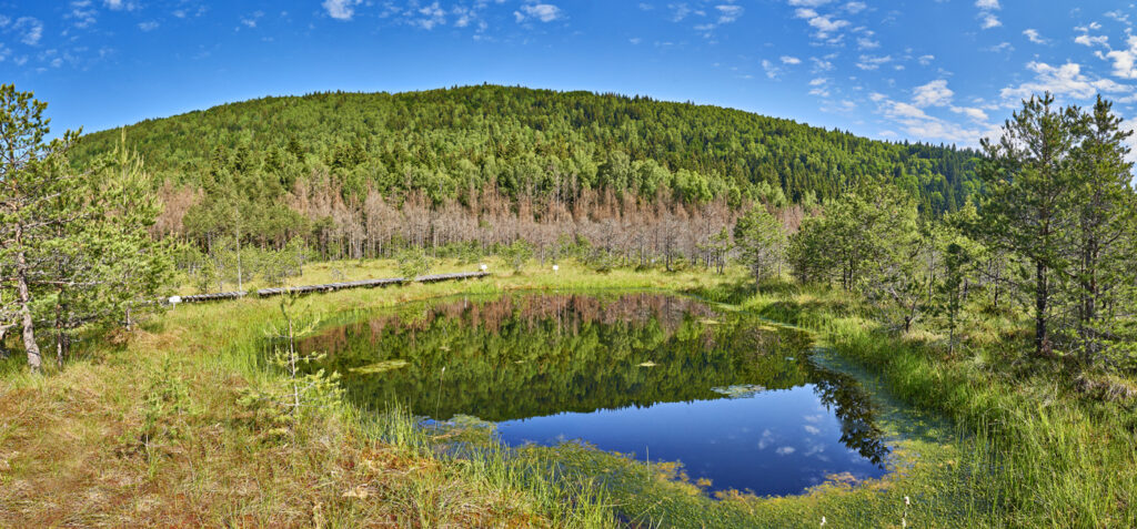 Un nou punct de atracție în inima naturii. Investiția care transformă zona Lacului Sfânta Ana