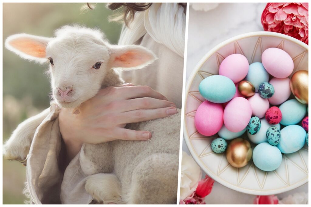 Prețul mielului crește înainte de Paște. Fermierii și comercianții anunță scumpiri