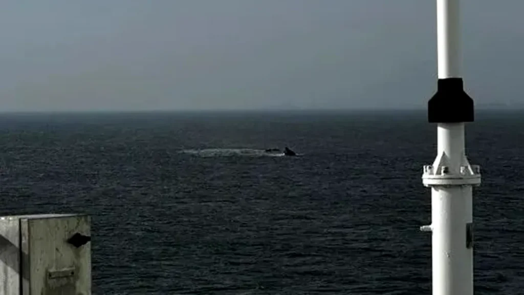 Navă scufundată în Portul Midia. O persoană a murit, patru sunt dispărute. Intervenție masivă de salvare