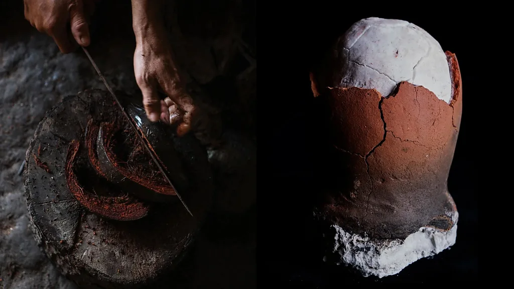 „Oul de dinozaur"revine în actualitate. Povestea celei mai rare sări din lume