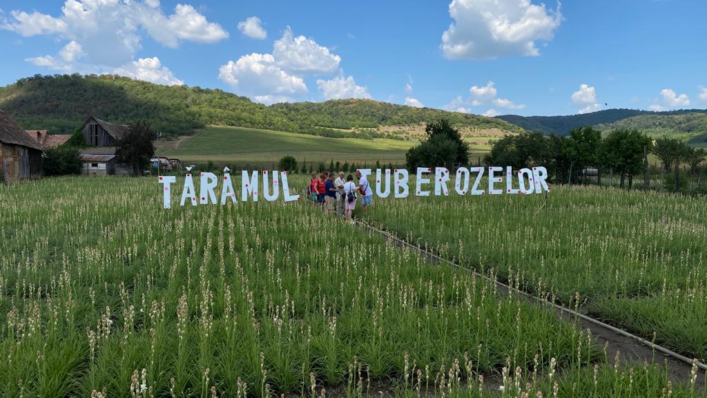sarbatoarea tuberozelor sursa foto sibiu independent