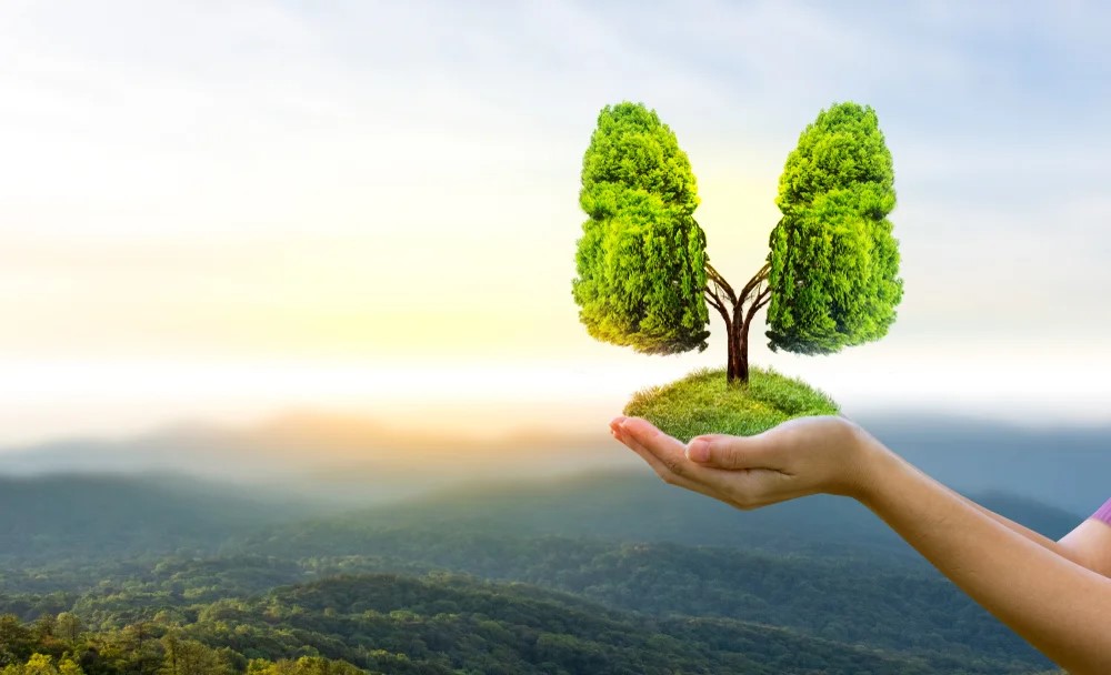 Doar 13 state din lume respiră aer curat. Europa bifează doar trei