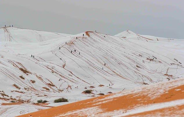 Dune din Algeria acoperite de zăpadă