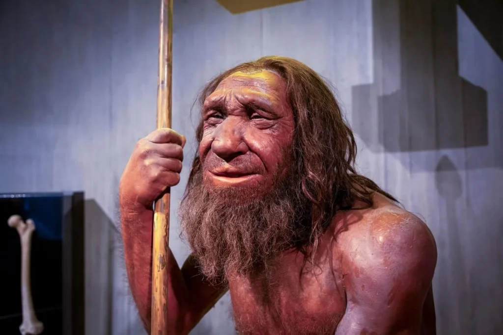 Bărbaților Neanderthal le plăceau femeile Sapiens? Un genetician de la Penn și un paleoantropolog francez nu sunt de acord cu această concluzie