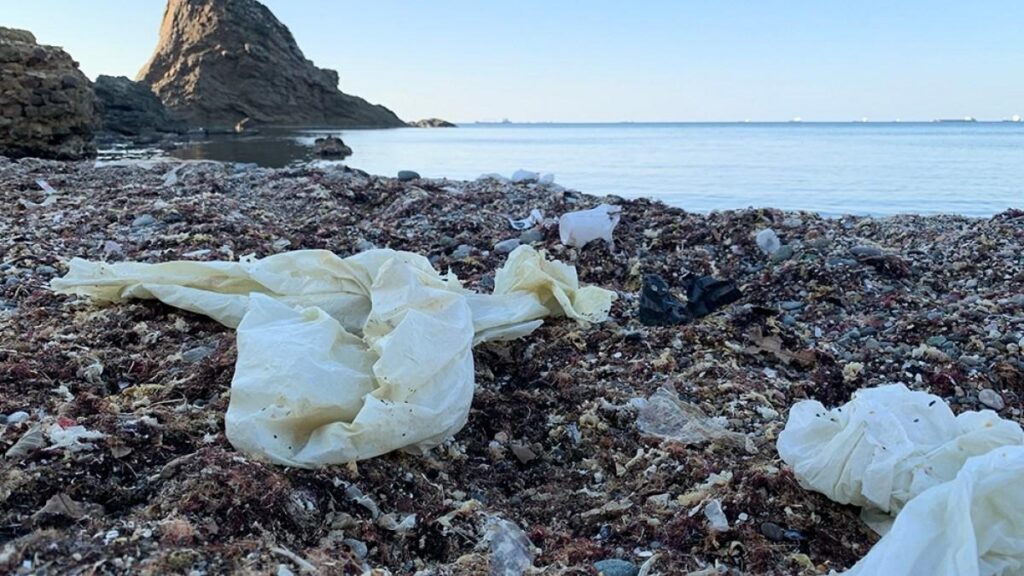 Europa își exportă problema: Germania, lider mondial la deșeuri de plastic trimise în afara UE