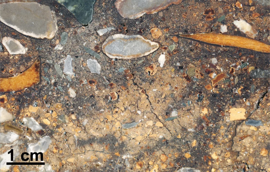 Pământul e o arhivă. ADN-ul din sedimentele epocii glaciare rescrie istoria originilor umane