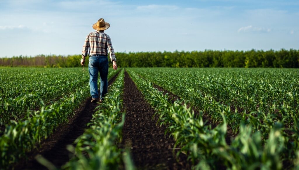 Minivacanța de 1 Mai în economia rurală. Cine câștigă și cine pierde în weekendul prelungit