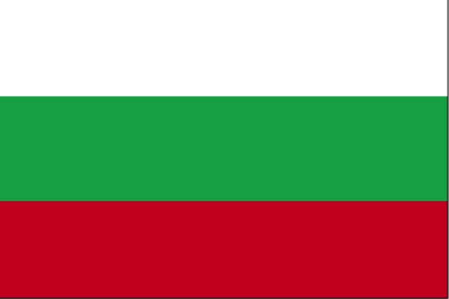 Peste 913.000 de euro investiți în publicitate electorală în campania electorală din Bulgaria