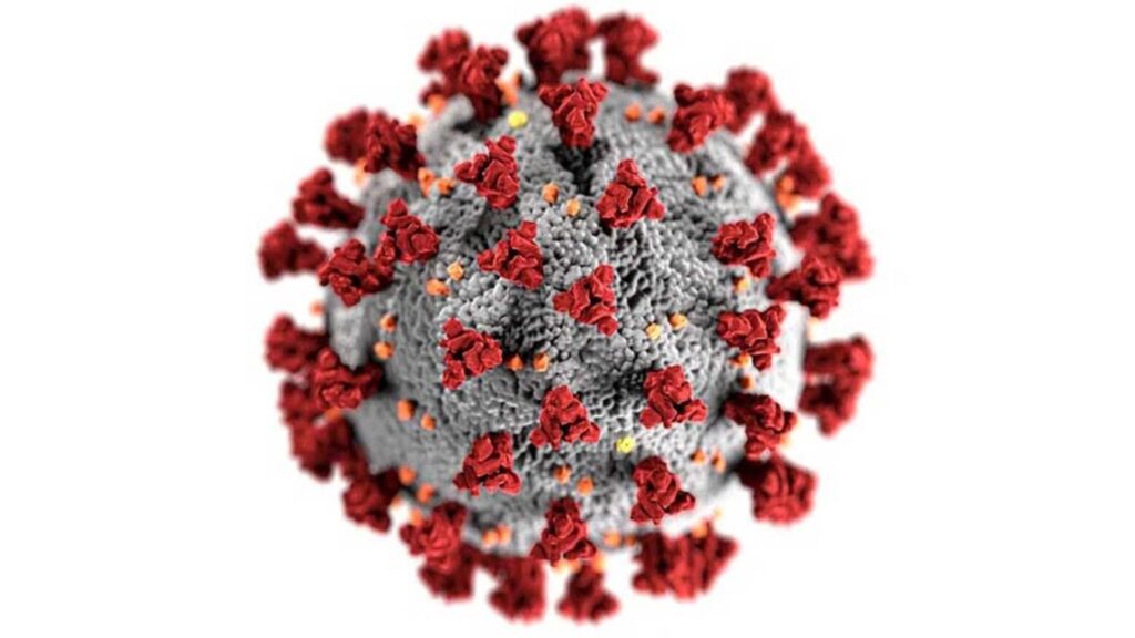 Un alt român este suspect de infecție cu hantavirus. Un bărbat de 45 de ani a ajuns la spital după o vizită în Serbia