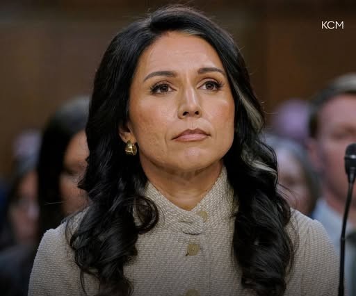 Tulsi Gabbard demisionează din funcția de directoare a informațiilor naționale după diagnosticul soțului