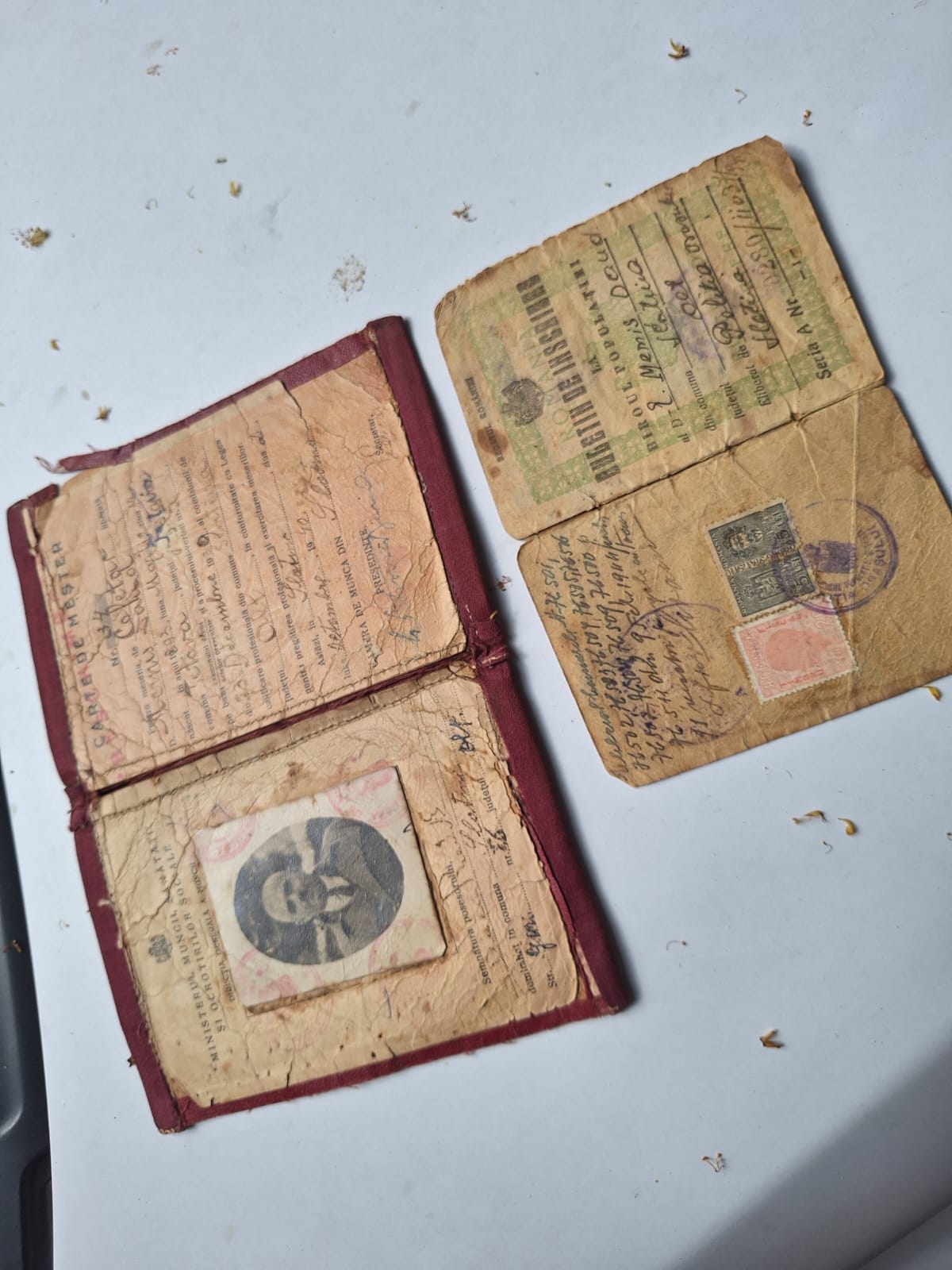 Acte de identitate din perioada Regală (sursa: arhiva personală Fam. Memish)