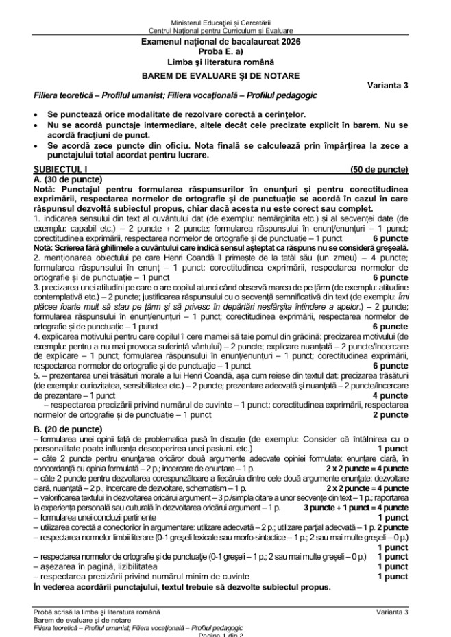 barem notare lb. romana pag 3