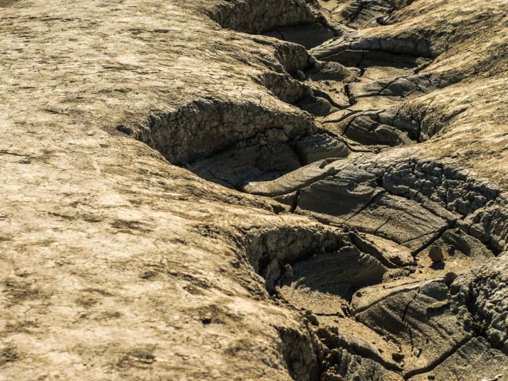 Refacerea solului reprezintă soluția naturală pentru răcirea rapidă a planetei