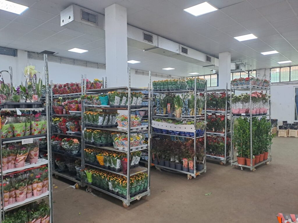 Cât costă, de fapt, florile din București și din marile orașe înainte să ajungă la clienți. Depozitele dosite și dichisite din Capitală