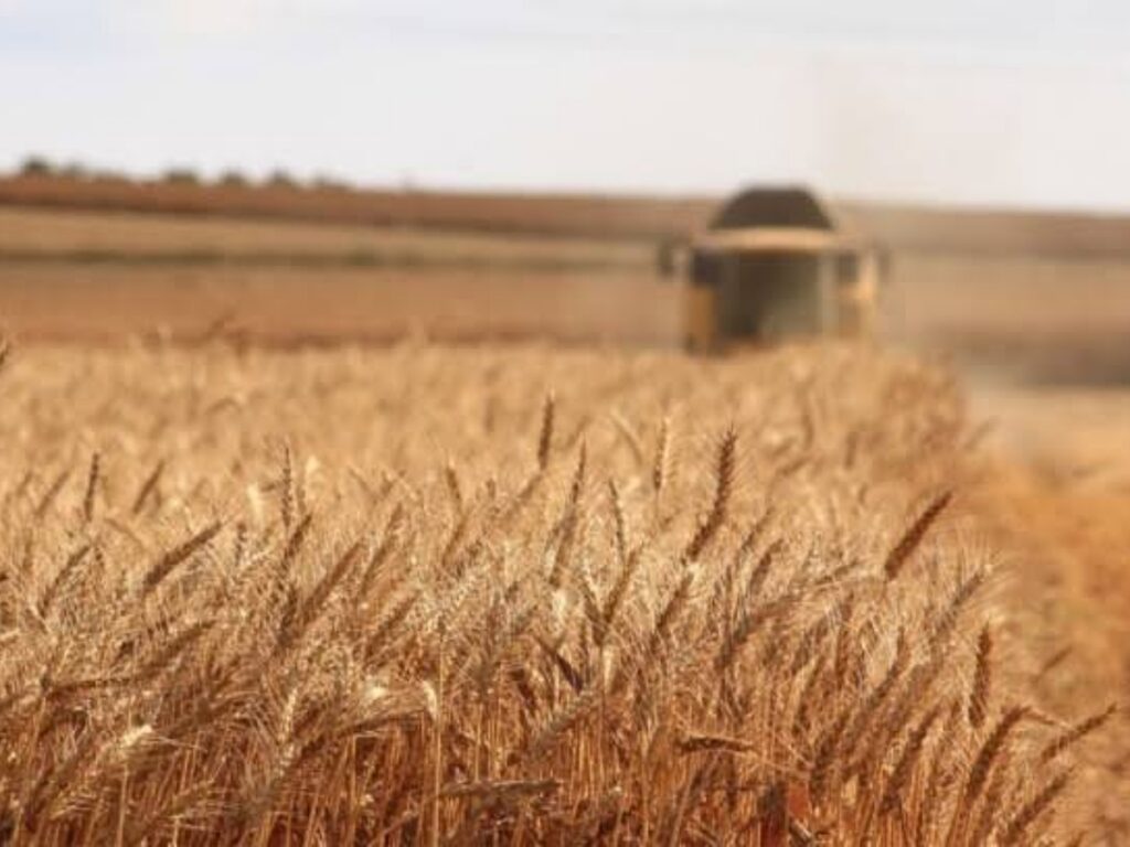 Viitorul agriculturii stă în ideile inovative ale tinerilor. Povestea de succes de la Ferma Cristinei 