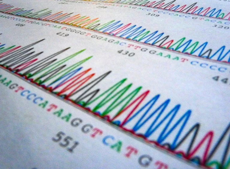 Studiul genetic al deceniului despre tulburarea de personalitate borderline. Ce înseamnă pentru familii și cupluri