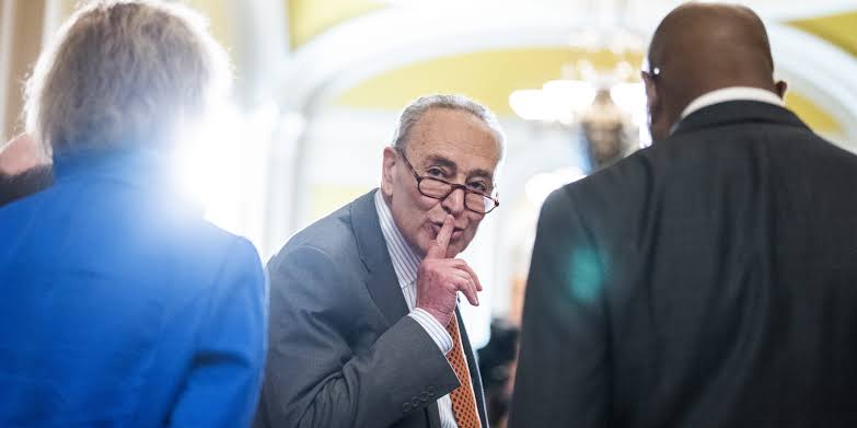 Luptă pentru influență în Partidul Democrat din SUA. Elizabeth Warren și Chuck Schumer susțin tabere diferite înaintea alegerilor primare