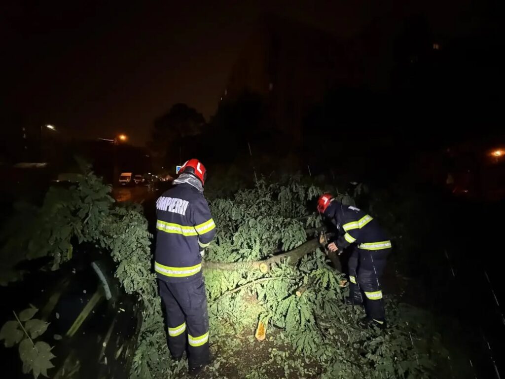 Haos în București și Ilfov după furtună: sute de copaci doborâți, metroul afectat și mii de apeluri la 112