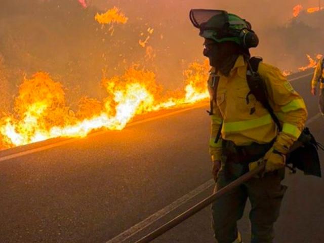 Tragedie în Spania: 12 morți în incendiul devastator din Almería. Majoritatea victimelor ar fi cetățeni străini