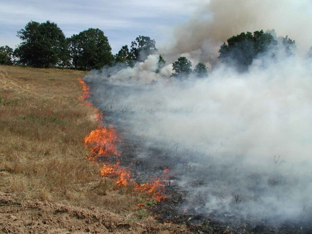 Incendiile din sudul Italiei dau peste cap traficul aerian și blochează autostrăzi