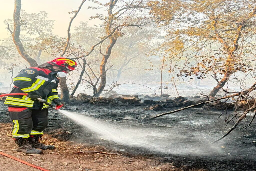 Analiză New York Times: vara incendiară din Europa este doar începutul! Continentul se va confrunta cu incendii violente din cauza schimbărilor climatice