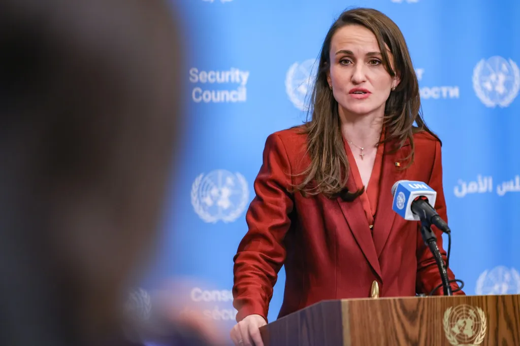 Oana Țoiu: România cere investiții suplimentare pentru apărarea Flancului estic înaintea summitului NATO