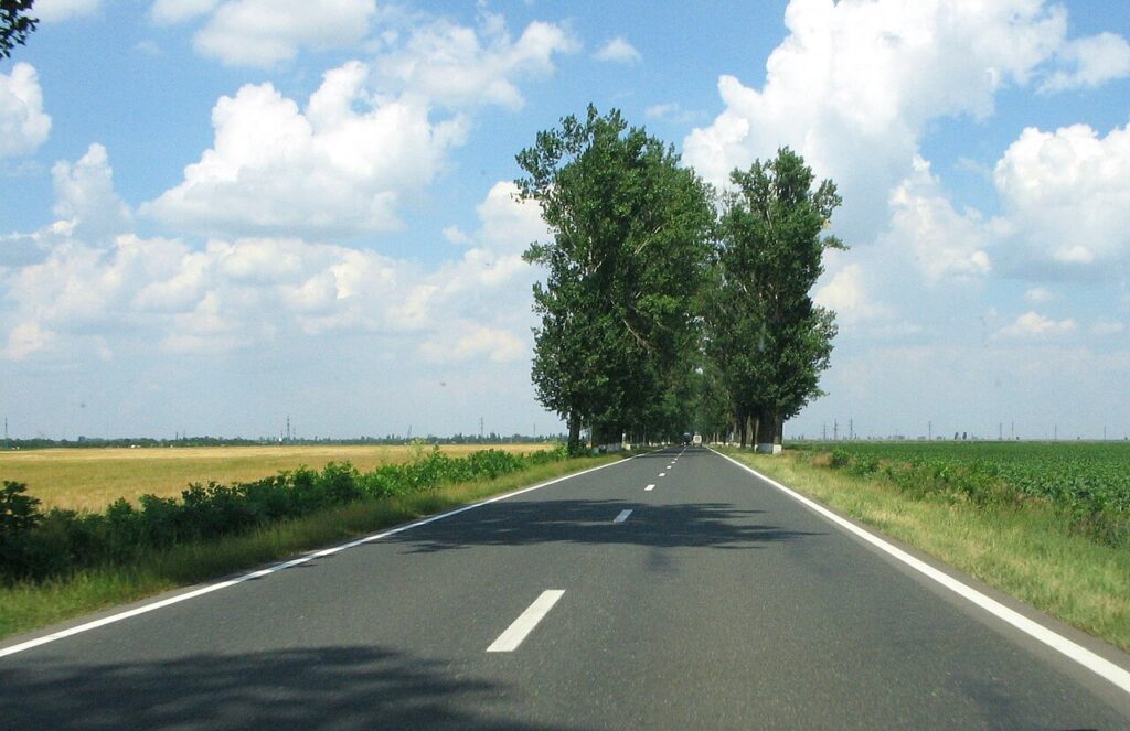 Invenția banală care a salvat milioane de vieți și a schimbat modul în care conducem