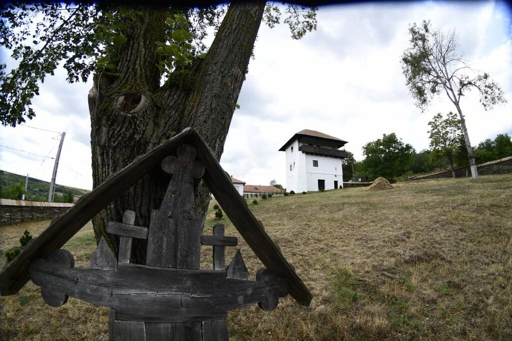 Renașterea culelor din Oltenia: povestea fortăreţelor boierești din Dolj, propuse pentru UNESCO