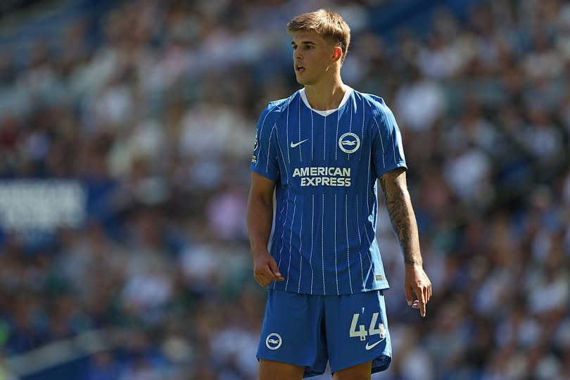 Luka Vuskovic a costat-o pe Brighton 54.000.000 de euro. Sursă foto: Facebook