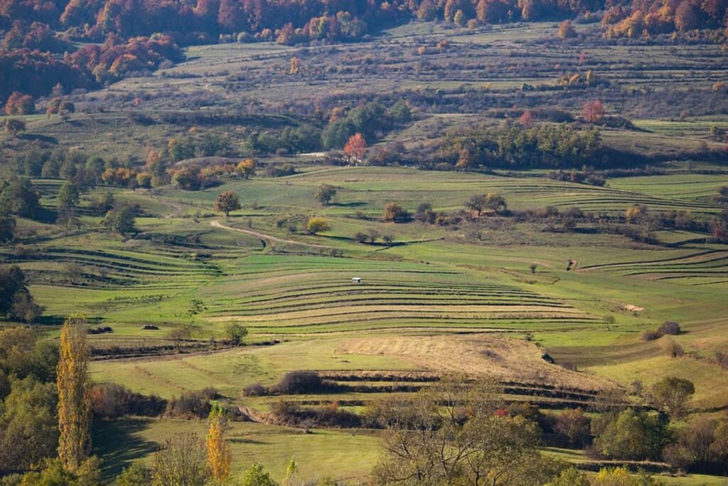 Harghita, alternativa spectaculoasă și ieftină la Alpi și Dolomiți. Ce a descoperit un jurnalist de la The Guardian în România