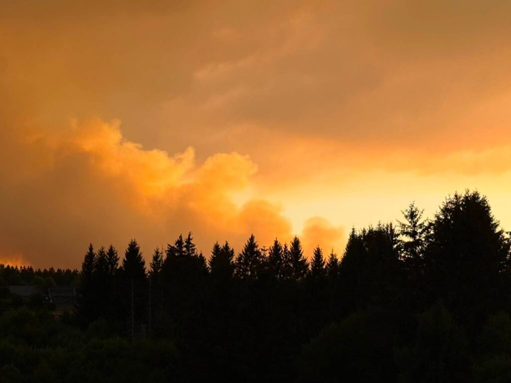 Cel mai mare incendiu din istoria Belgiei. UE trimite avioane și elicoptere de urgență