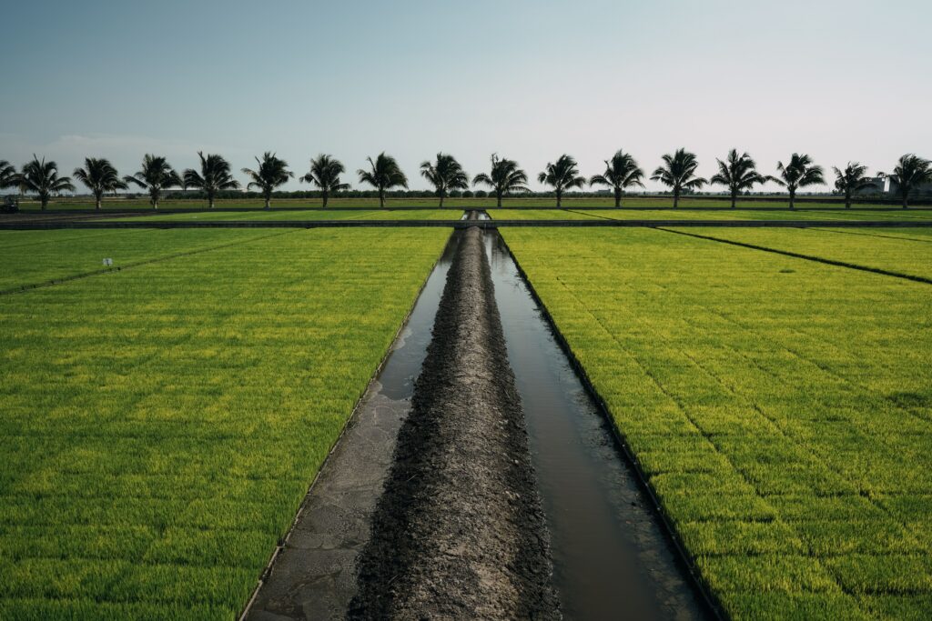 Pactul Național pentru Agricultură propune o Strategie Națională a Apei - România 2050: apă, energie și agricultură într-un plan comun