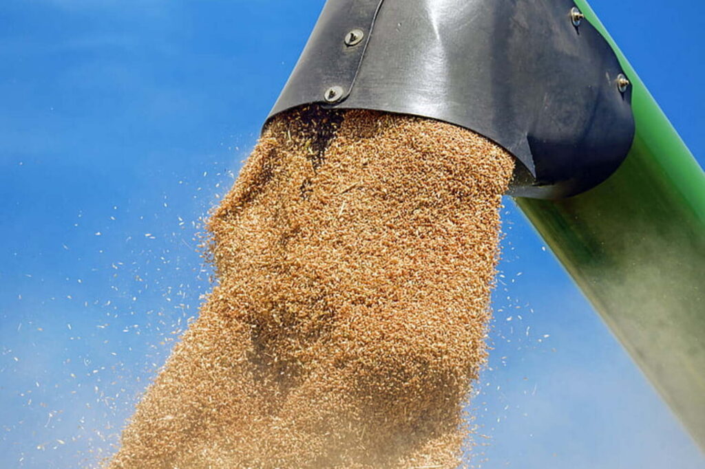 Piețele agricole, lovite de un nou val de scumpiri. Războiul și fenomenele extreme pun presiune pe alimente