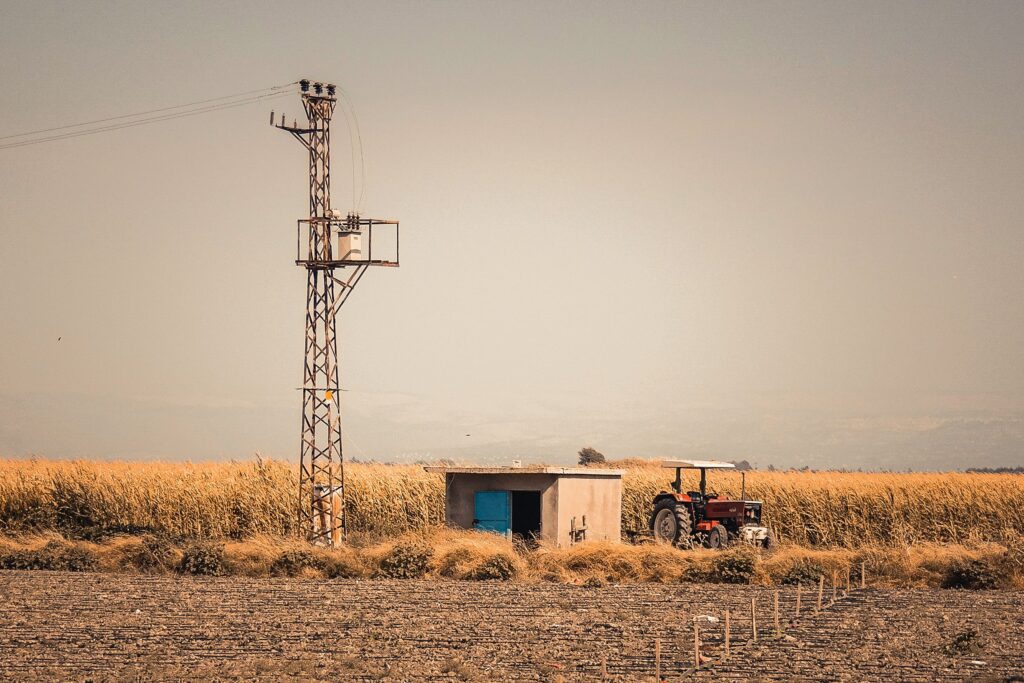Seceta și temperaturile ridicate afectează culturile agricole. ANM anunță evoluții accelerate în următoarele zile