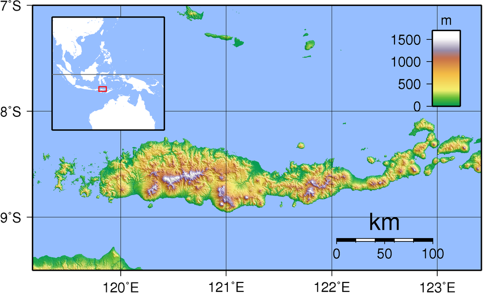 Cutremur puternic în Indonezia: cel puțin 38 de morți și 2.000 de persoane evacuate pe insula Flores