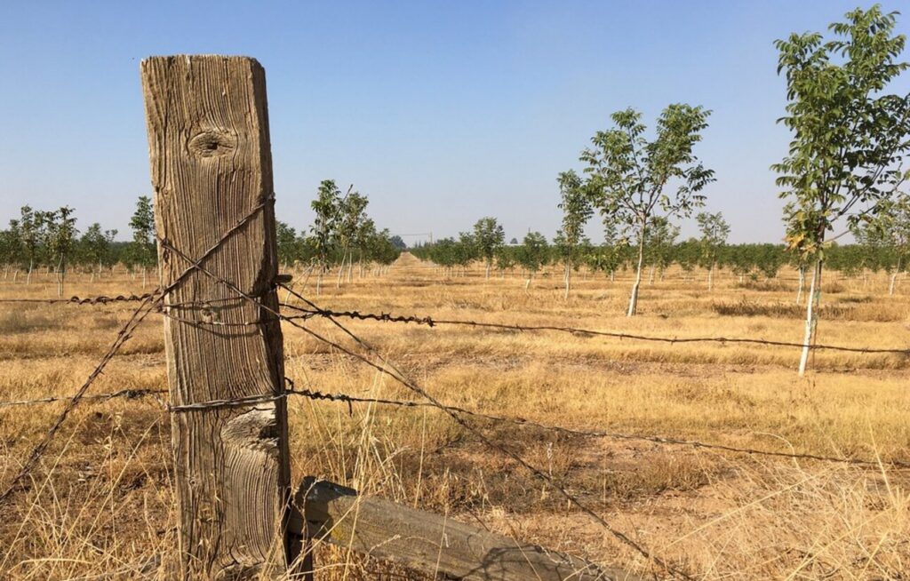 Organizațiile agricole din UE cer măsuri urgente de sprijin pentru fermierii afectați de secetă. Ce ajutor primește România