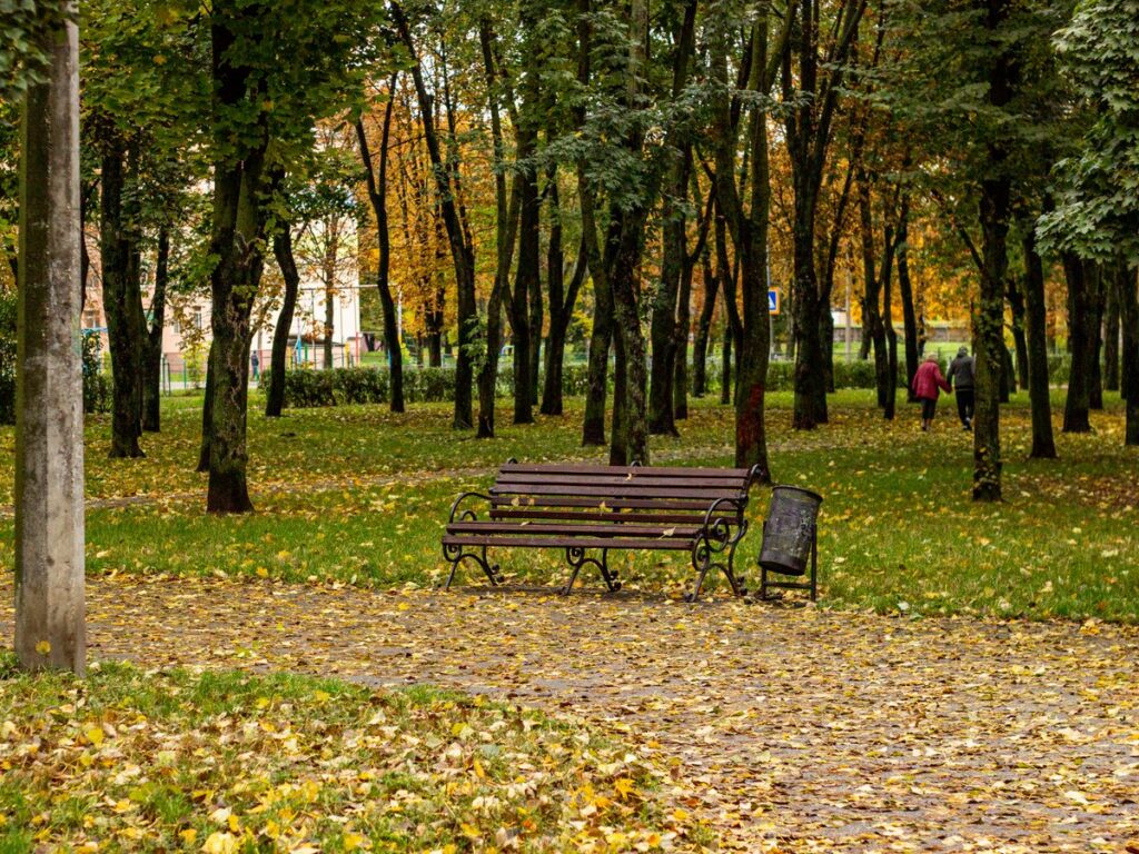 Vremea în România, pentru următoarele patru săptămâni. Ce arată prognoza ANM