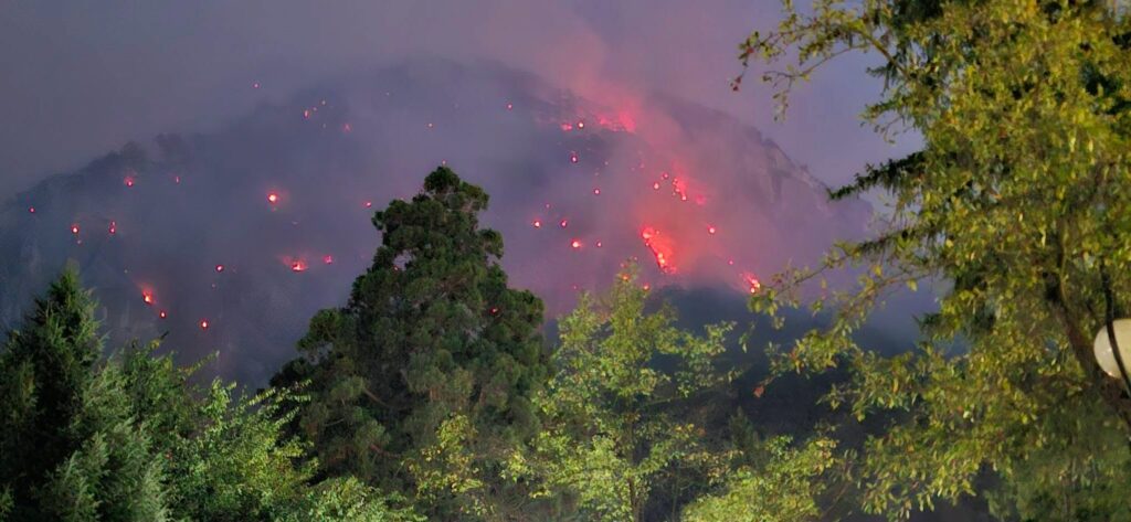Incendiile din Domogled ajung la Parchet. Agent Green cere anchetă și conservarea urgentă a probelor