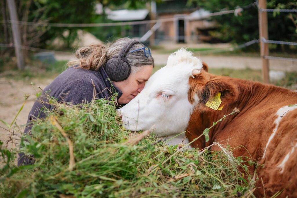 Peste 140 de animale au găsit refugiu la Nima, sanctuarul din Brăduleț, județul Argeș
