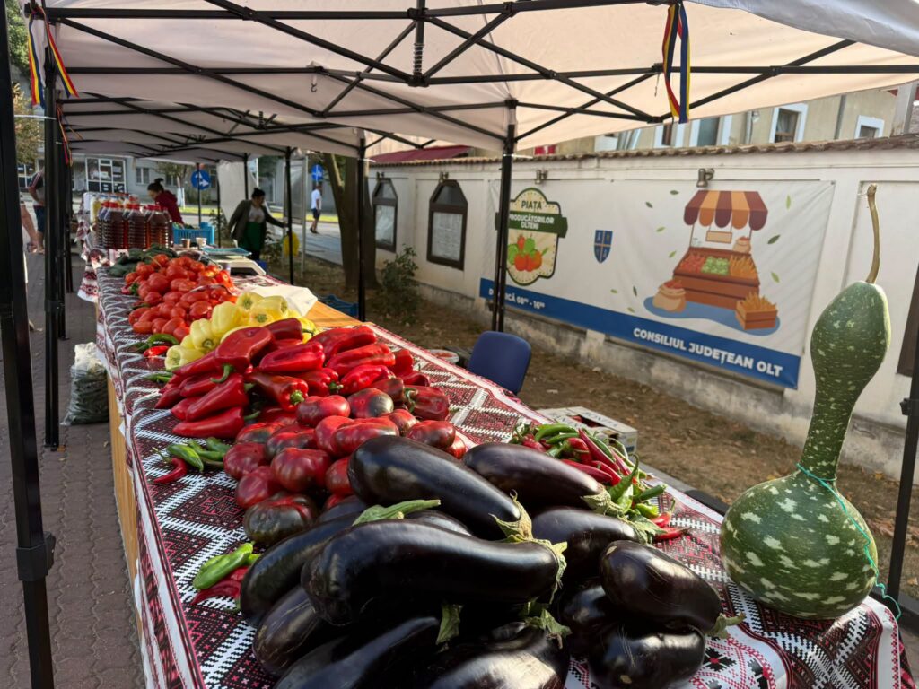 Recolte record, prețuri sub cost, anul pe care fermierii vor să-l uite: „Produsele românești rămân superioare calitativ, dar agricultorii noștri nu sunt suficient de organizați”